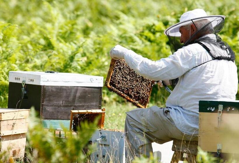 Olympus Hotel Villa Drosos