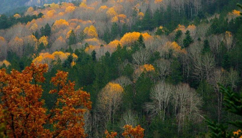 Olympus Hotel Villa Drosos