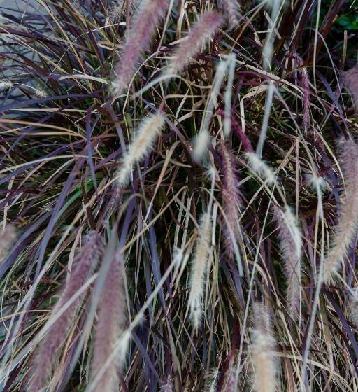 펜션 85 Ehmke Guesthouse