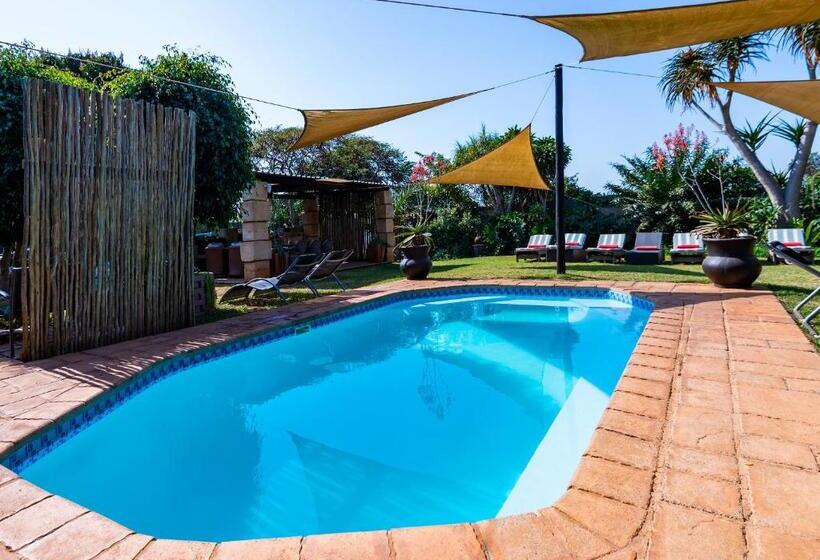 פנסיון Ama Zulu Guesthouse & Safaris