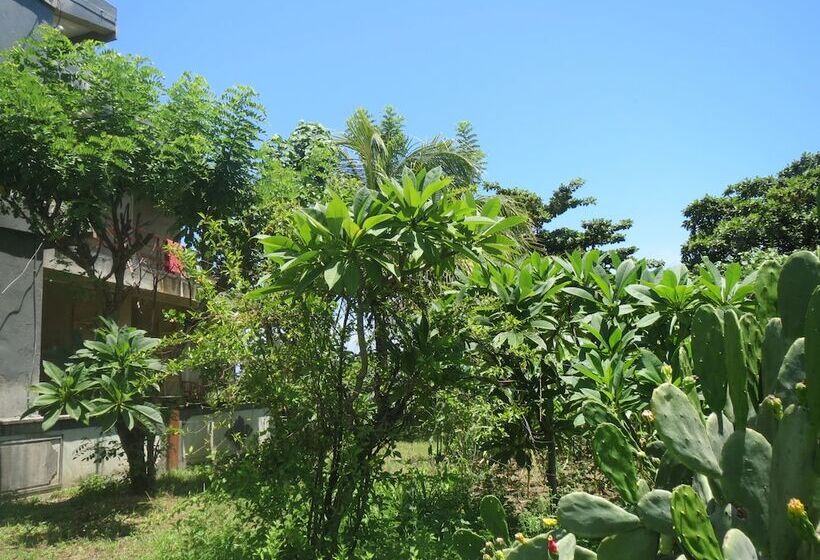 بنسيون Amed Sari Beach Guesthouse