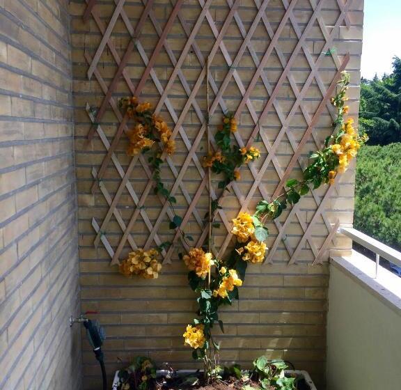 پانسیون Happy Holiday In Rome B&b