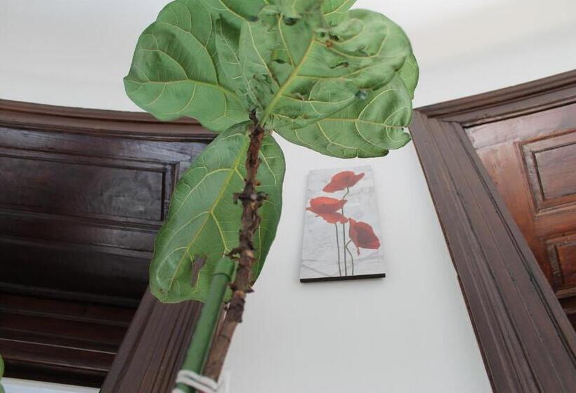 پانسیون Omega Guesthouse Budapest