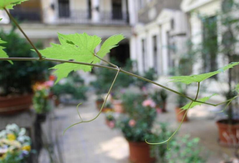 پانسیون Omega Guesthouse Budapest