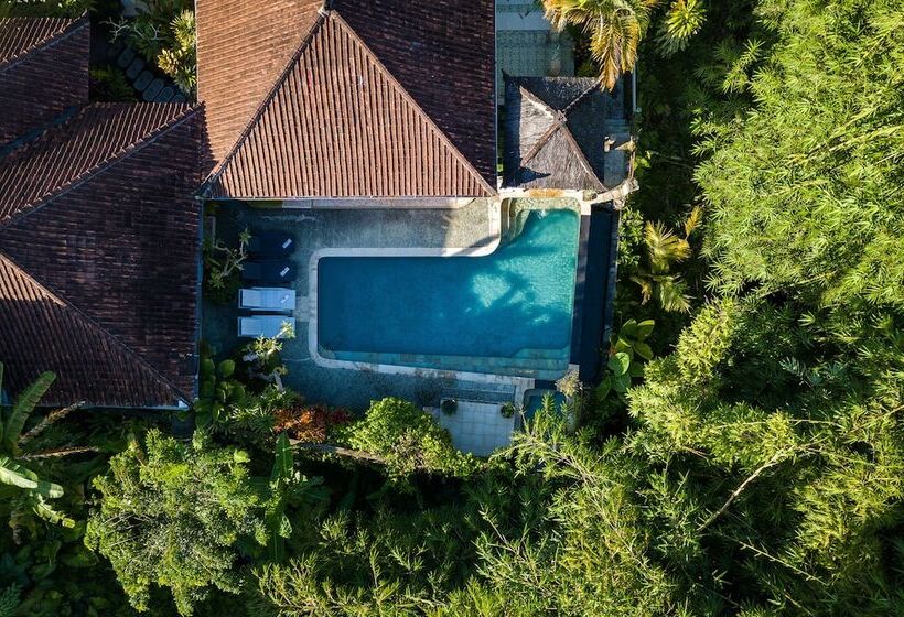 Pansiyon Padma Ubud Retreat