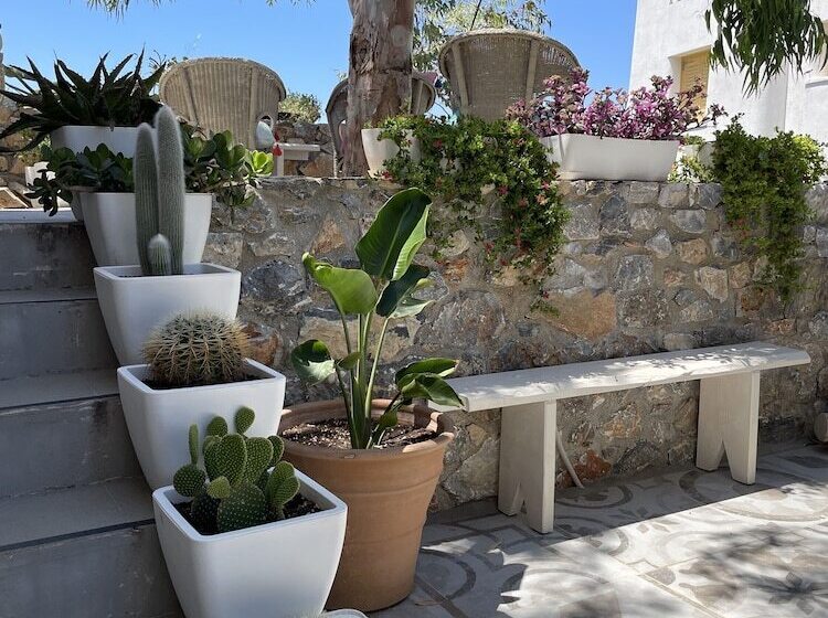 بنسيون Speires Suites