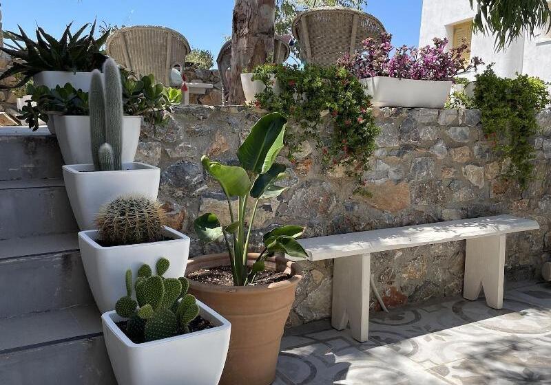 بنسيون Speires Suites