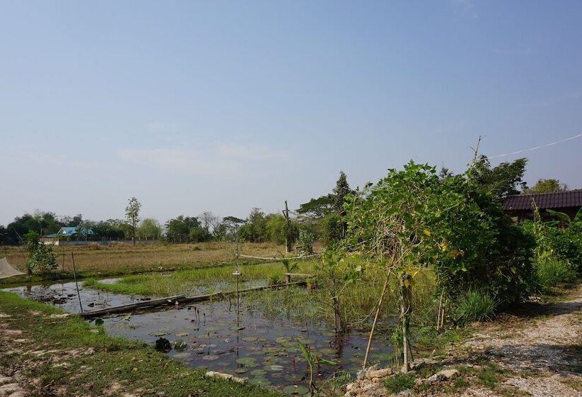 بنسيون Sukhothai City Resort