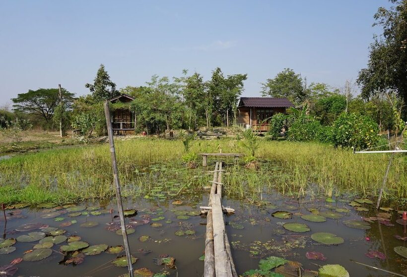 بنسيون Sukhothai City Resort