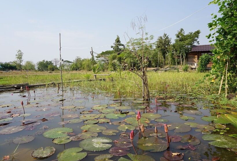 بنسيون Sukhothai City Resort