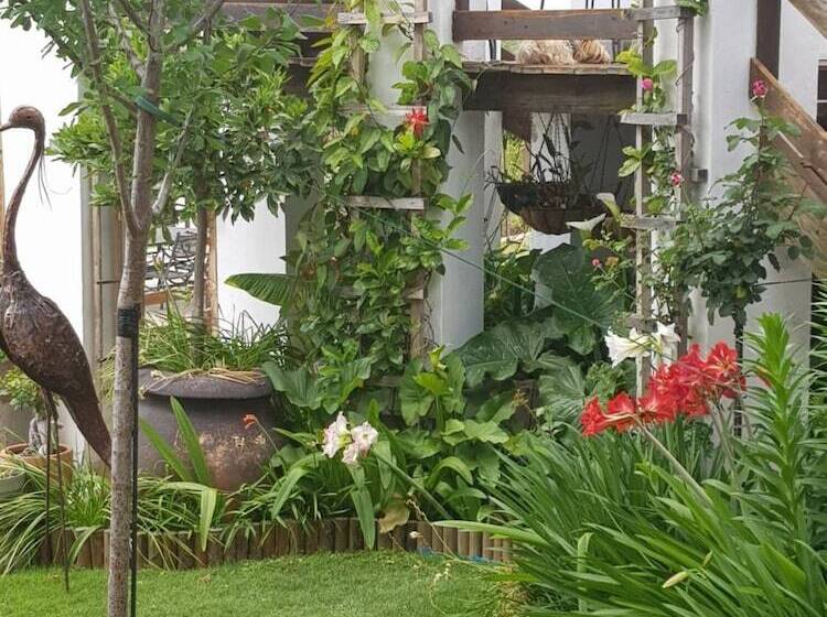 Пансион Terra Bianca