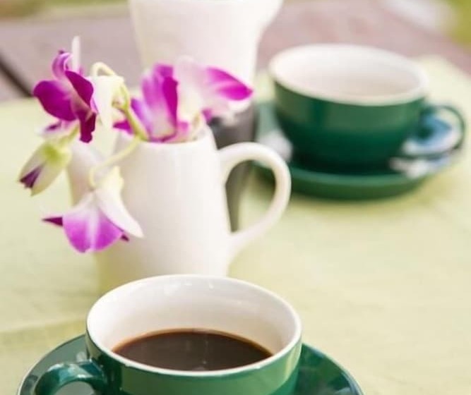 ペンション White Monkey Guesthouse