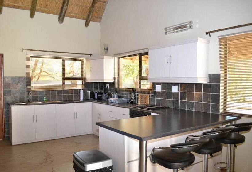 Raptors Wildlife Escapes