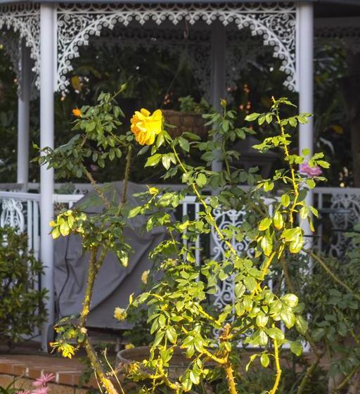 مبيت وإفطار Sparkling Star Guest House