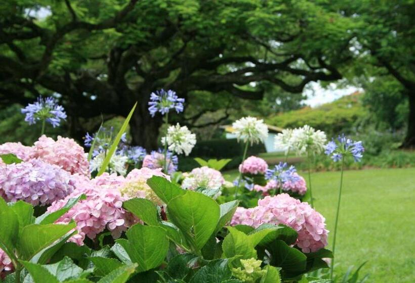 Bed and Breakfast Torburnlea Homestead Luxury Accommodation