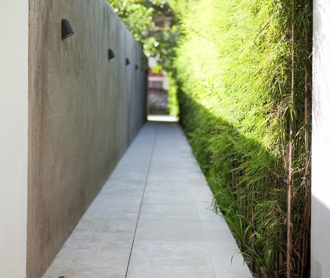 Cassamia Bali