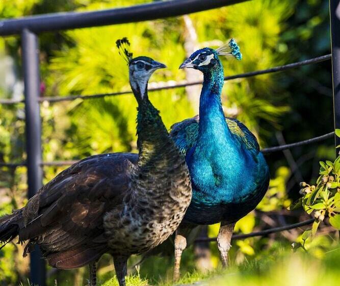 هتل Anhill Boutique