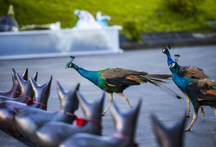 هتل Anhill Boutique