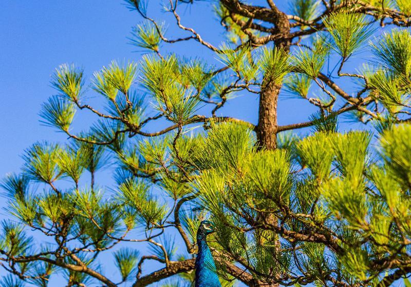 هتل Anhill Boutique