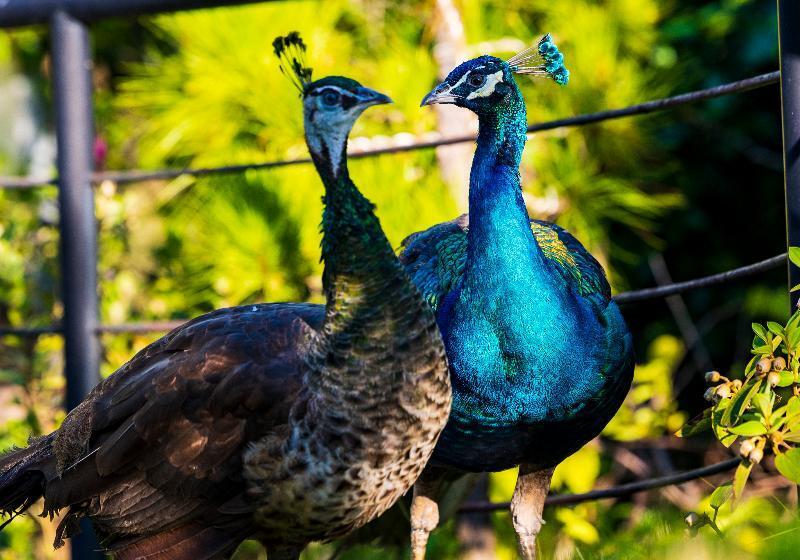 هتل Anhill Boutique