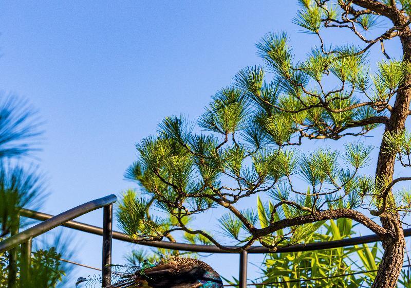 هتل Anhill Boutique