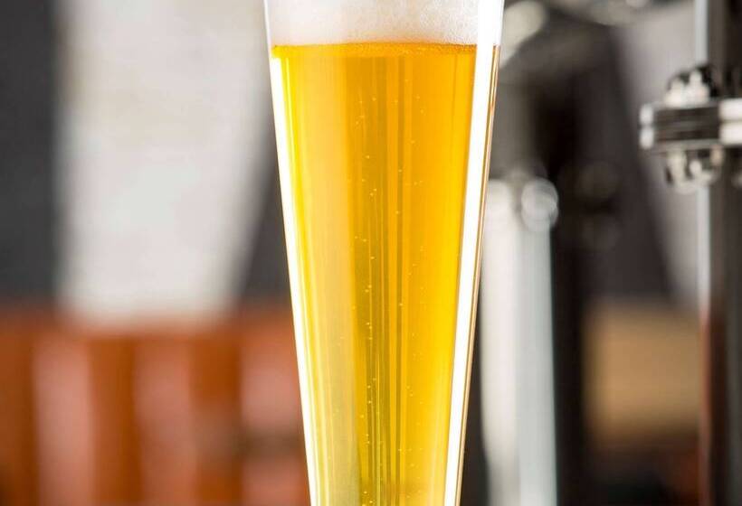 호텔 Fairmont Chicago At Millennium Park Gold Experience