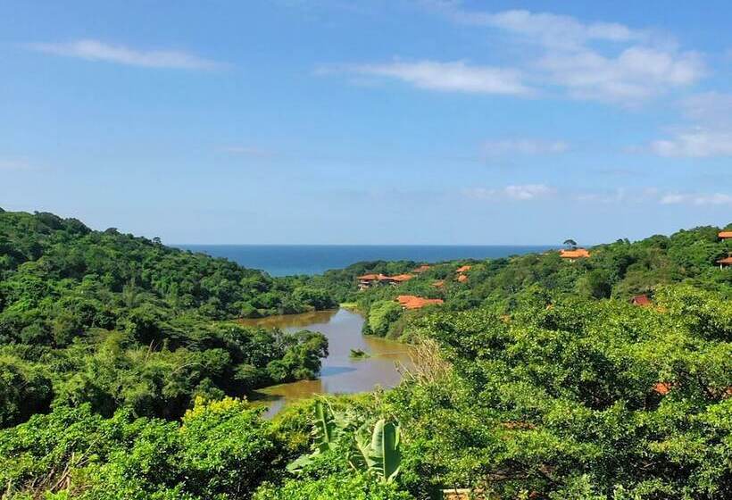 Отель Zimbali Lodge By Dream Resorts