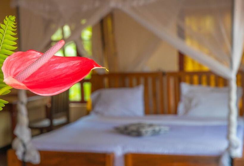 住宿加早餐  Christina House