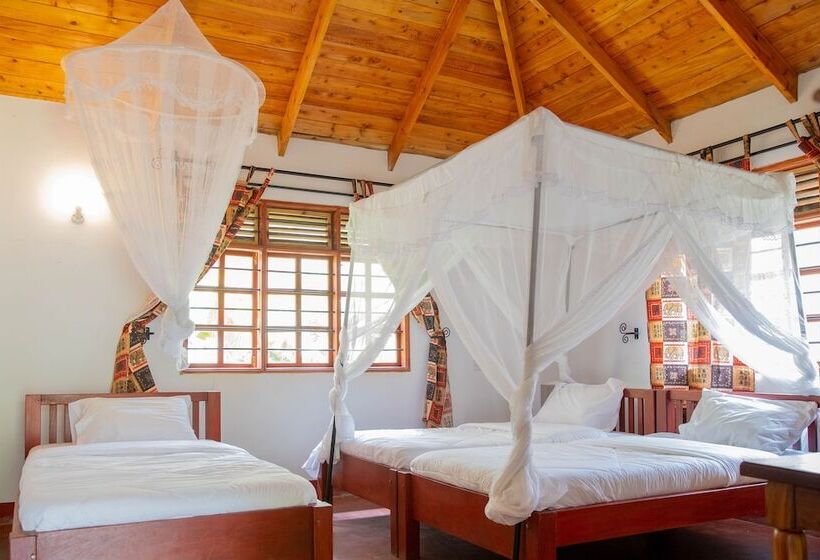 住宿加早餐  Christina House