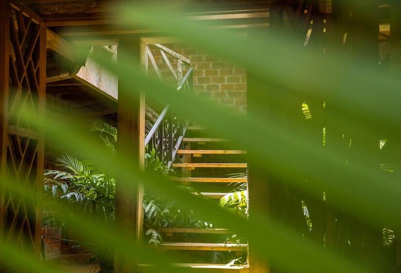 住宿加早餐  Christina House