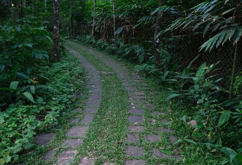리조트 Mystic Mayapott Thekkady