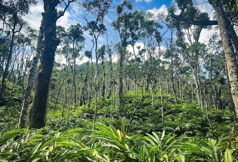 리조트 Mystic Mayapott Thekkady