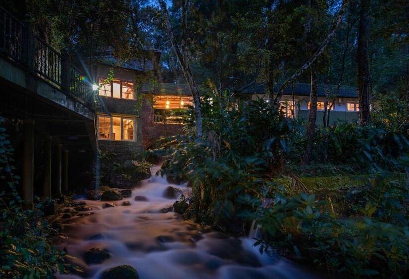 리조트 Mystic Mayapott Thekkady