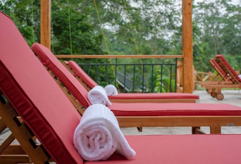 هتل Chimpundu Lodge