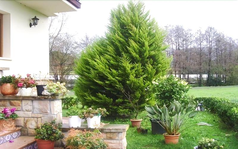 Agroturismo Ibarrondo Etxea