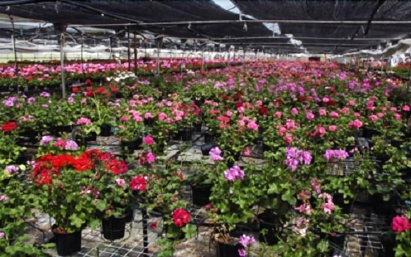 Agroturismo Ibarrondo Etxea