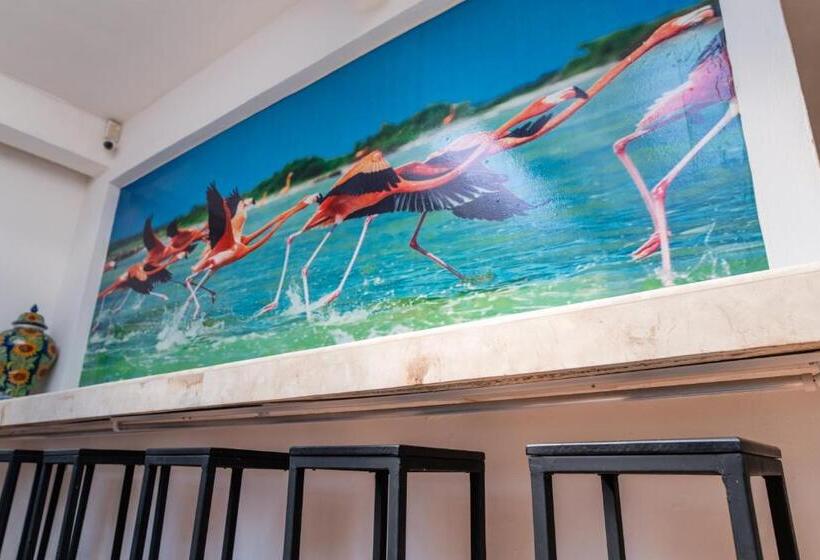 הוסטל La Catedral Mérida