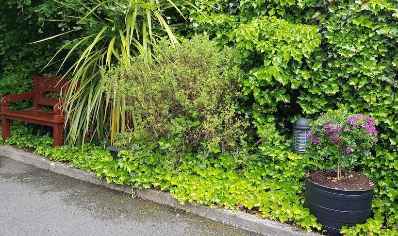 مبيت وإفطار Church View House