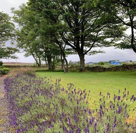 مبيت وإفطار Crawfield Grange