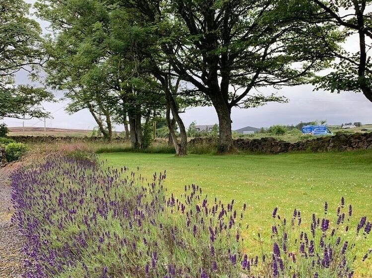 مبيت وإفطار Crawfield Grange