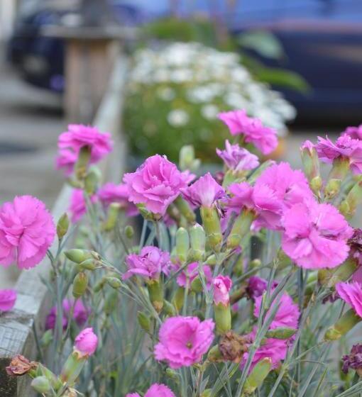 住宿加早餐  Orchard Lodge & Wolds Restaurant