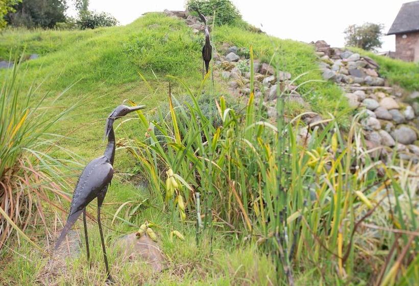 مبيت وإفطار The Old Dairy At Bishops Barton