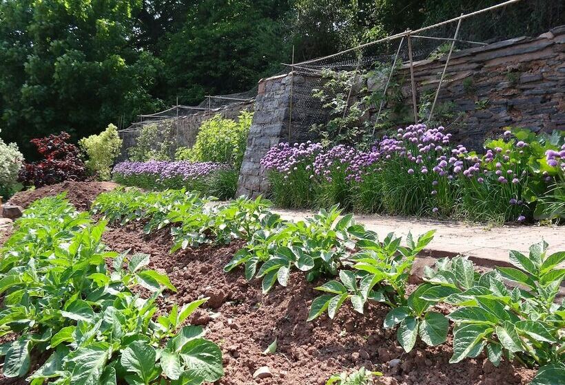 مبيت وإفطار The Old Dairy At Bishops Barton