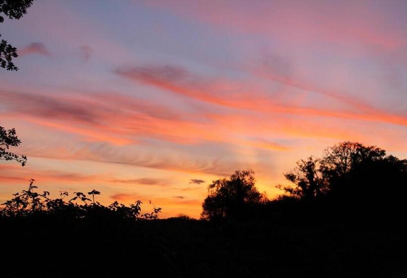 Bed and Breakfast The School House