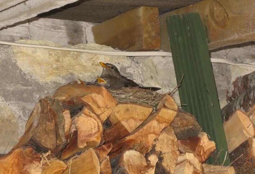 Bed and Breakfast The School House