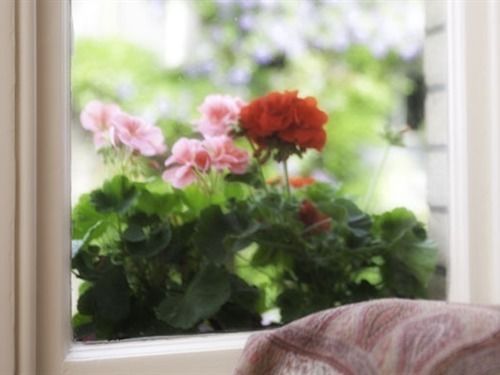 ベッドアンドブレックファースト Belmont