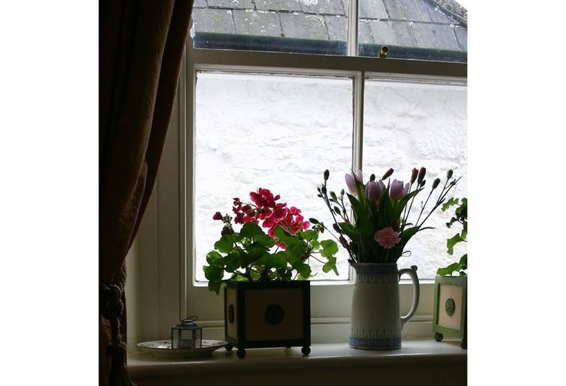 ベッドアンドブレックファースト Belmont