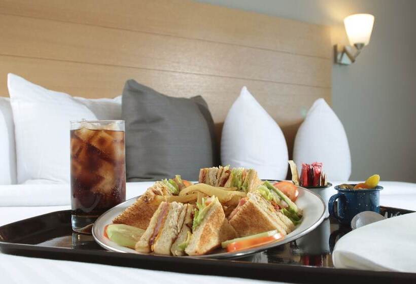 Bluu Hotel Aeropuerto Monclova Frontera