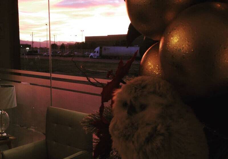 Bluu Hotel Aeropuerto Monclova Frontera