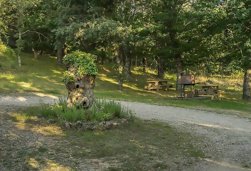 Cabañas De Madera Sanabria